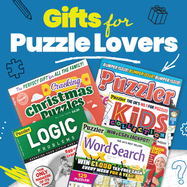 Top puzzle gifts